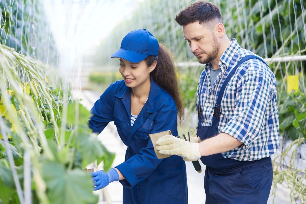 Farm Workers Caring for Plants