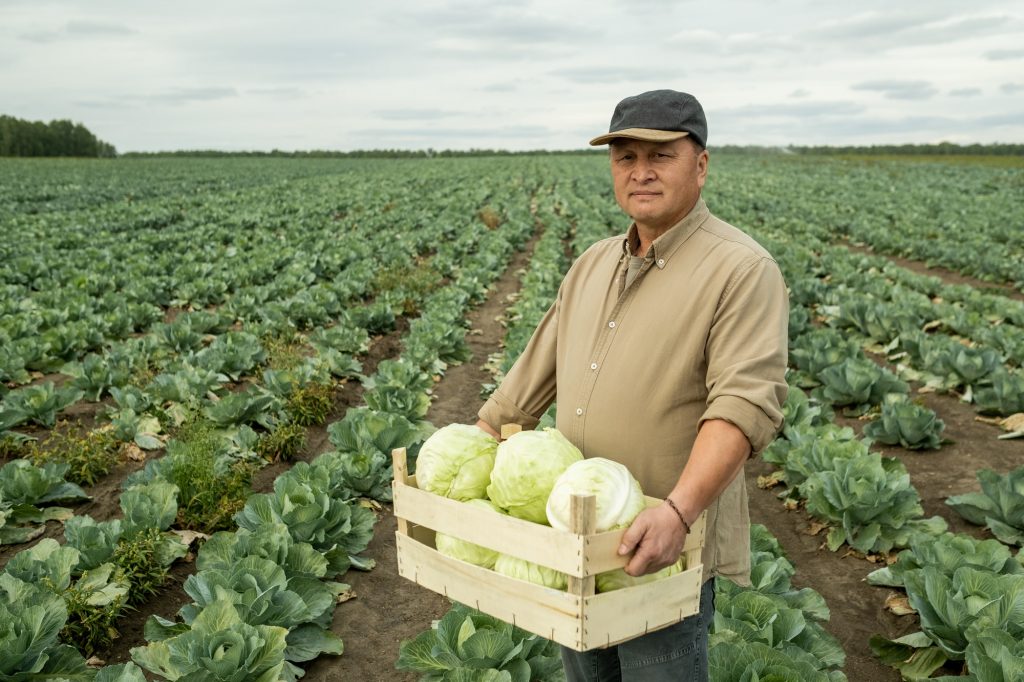 Portrait Of Asian Farm Worker In Field